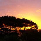 Sunrise from bedroom window