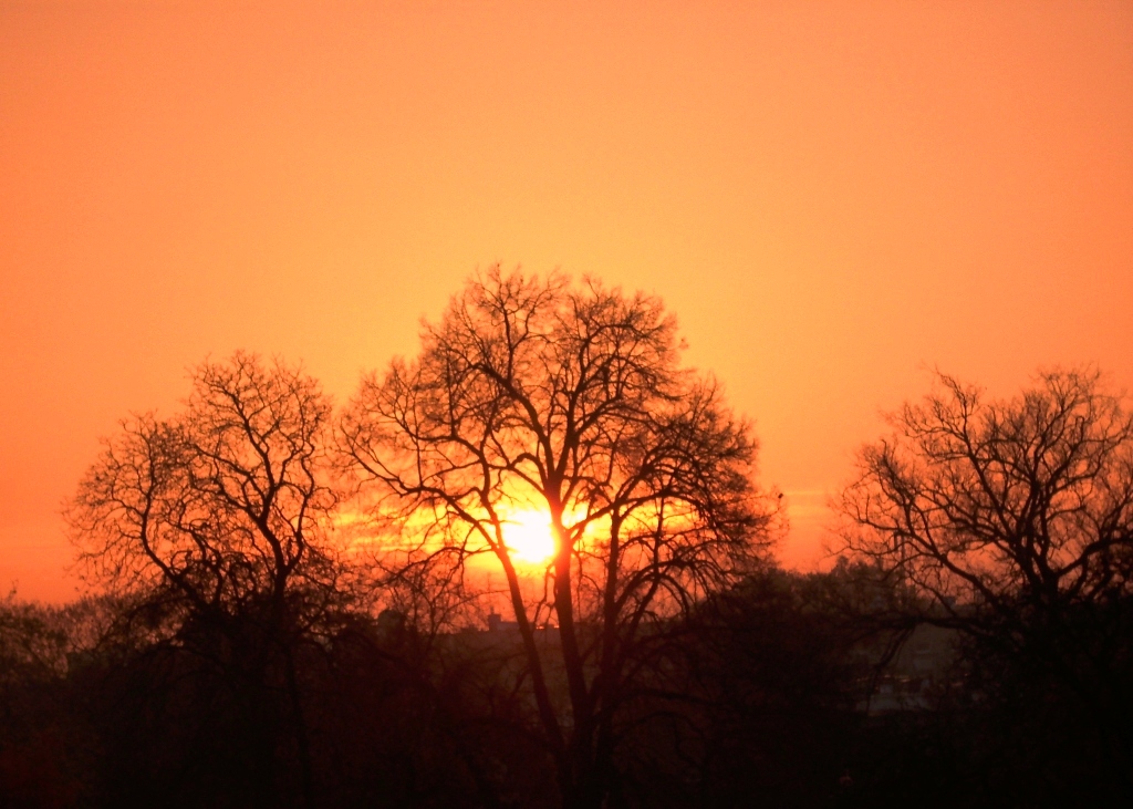 Sunrise from my balcony