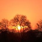 Sunrise from my balcony