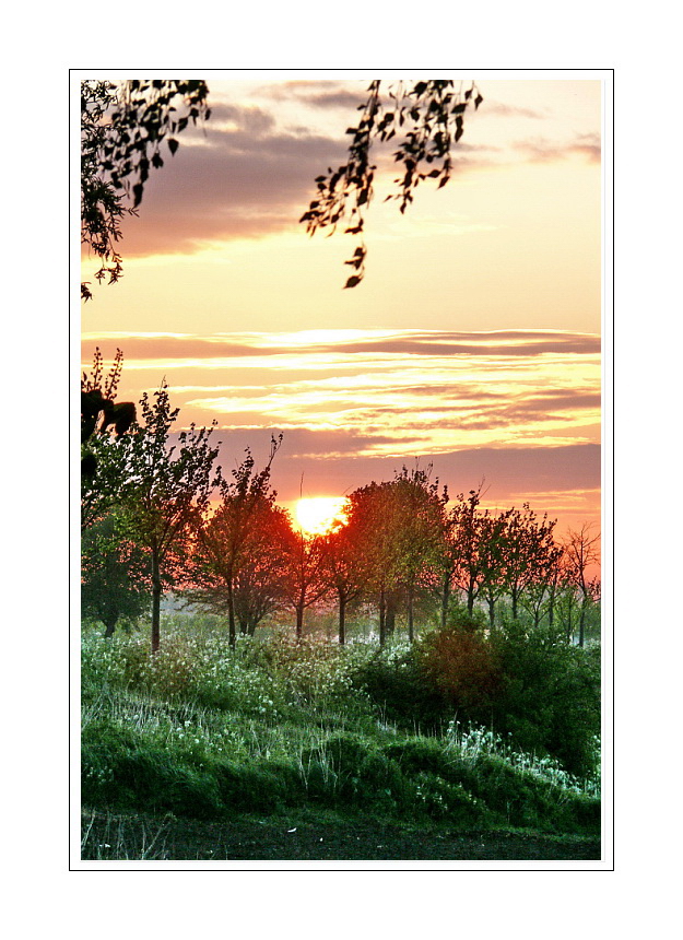 Sunrise (has crossed over the Dijk, and is moving towards it's summer position) 01.05.2008