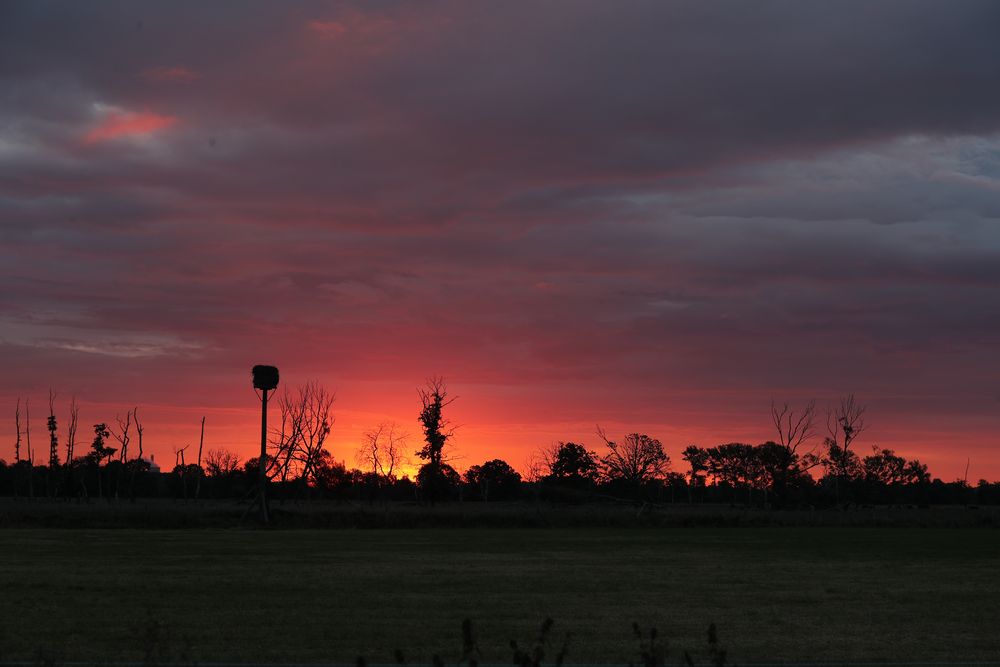 sunrise Ilkerbruch  - 70mm -