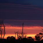 sunrise Ilkerbruch   - Pano -