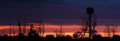 sunrise Ilkerbruch   - Pano -