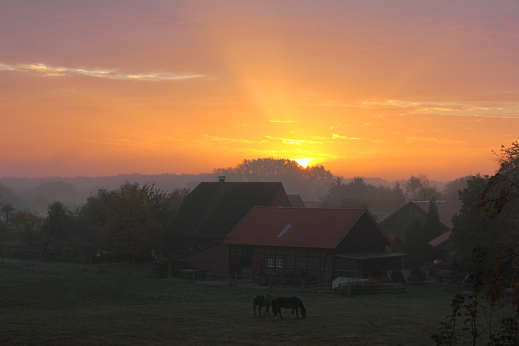 Sunrise im Münsterland