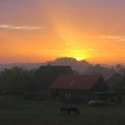 Sunrise im Münsterland