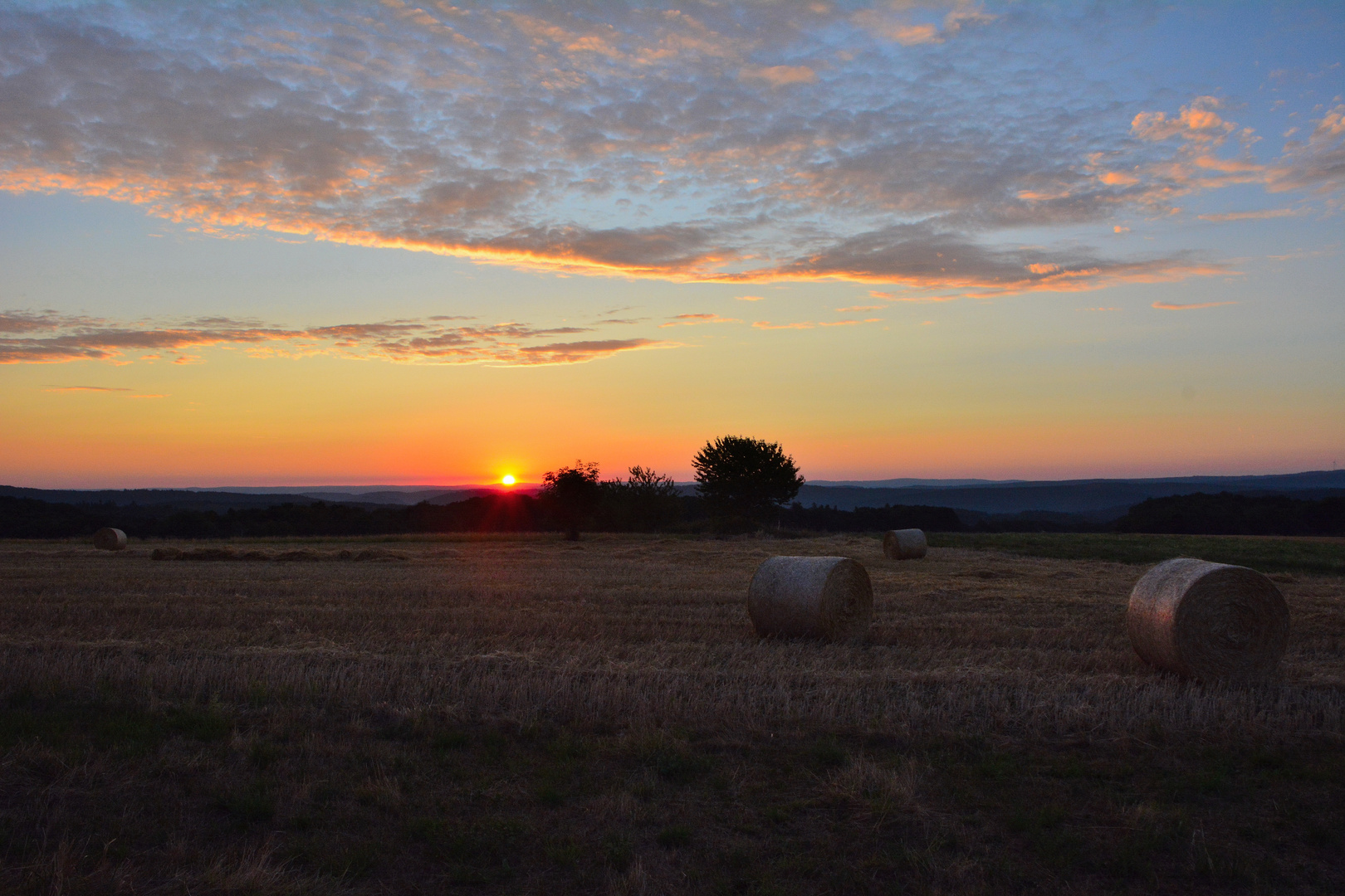 Sunrise im Odenwald