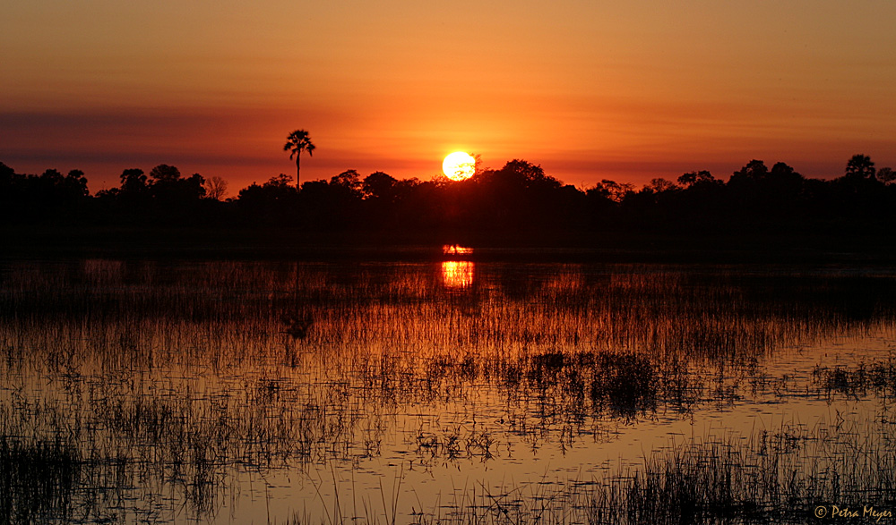 Sunrise im Okavango-Delta