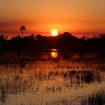 Sunrise im Okavango-Delta