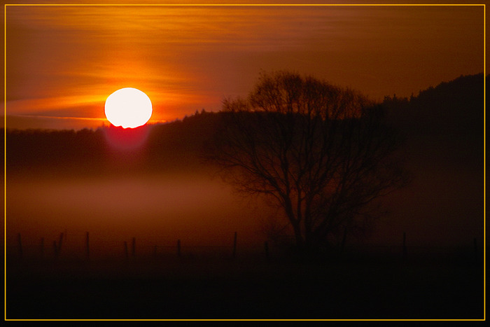 Sunrise im Wiesengrund