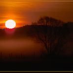 Sunrise im Wiesengrund