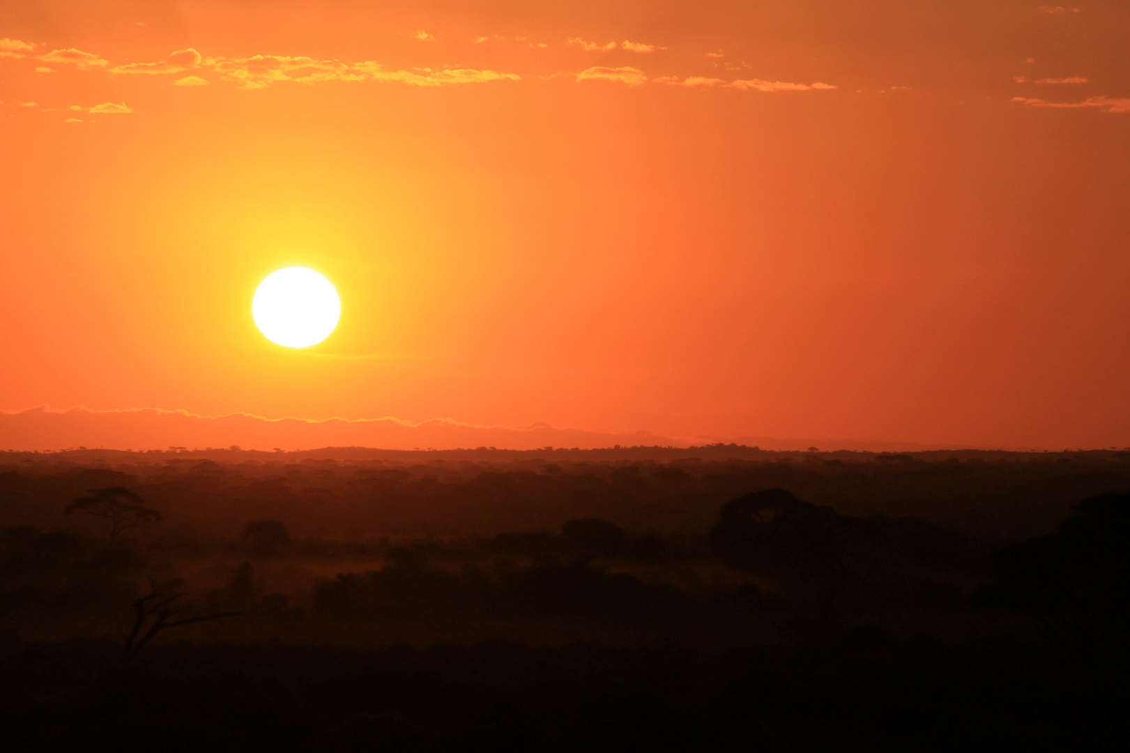 Sunrise in AFRIKA