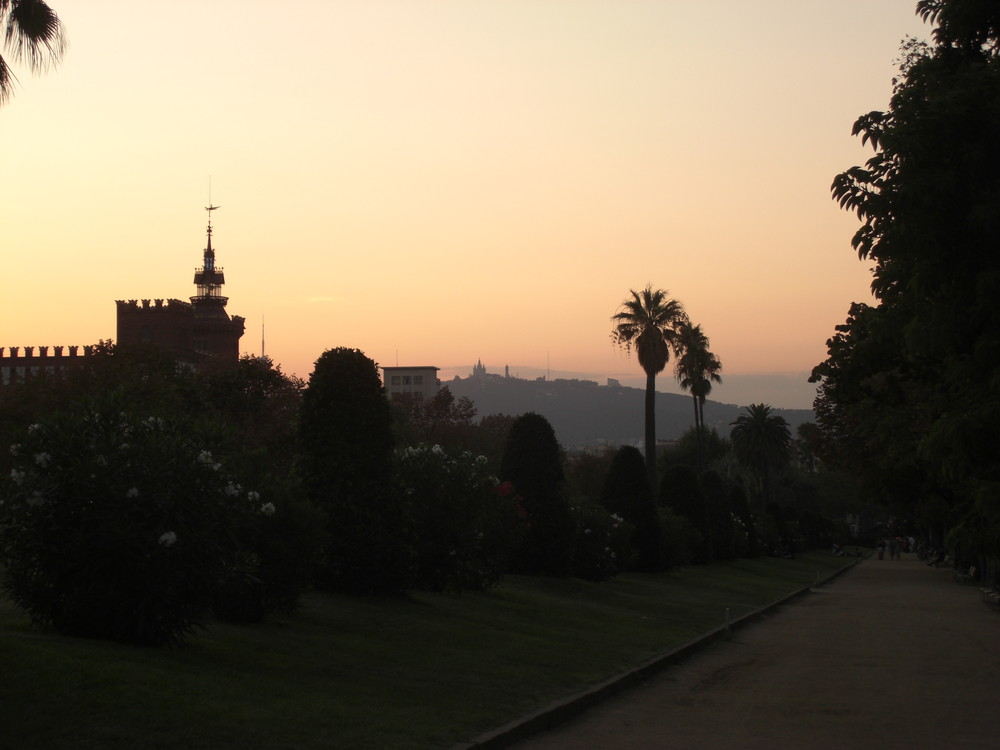 Sunrise in BCN