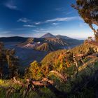 Sunrise in Bromo