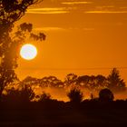 Sunrise in Chertsey New Zealand