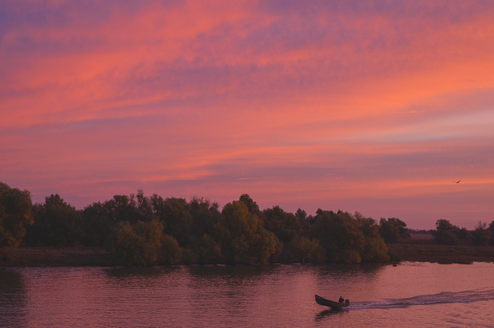 Sunrise In Danube Delta