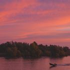 Sunrise In Danube Delta