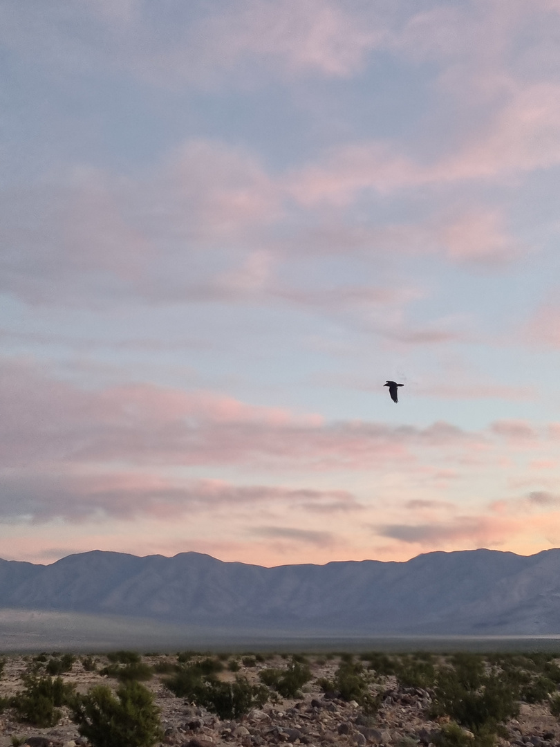 Sunrise in Death Valley