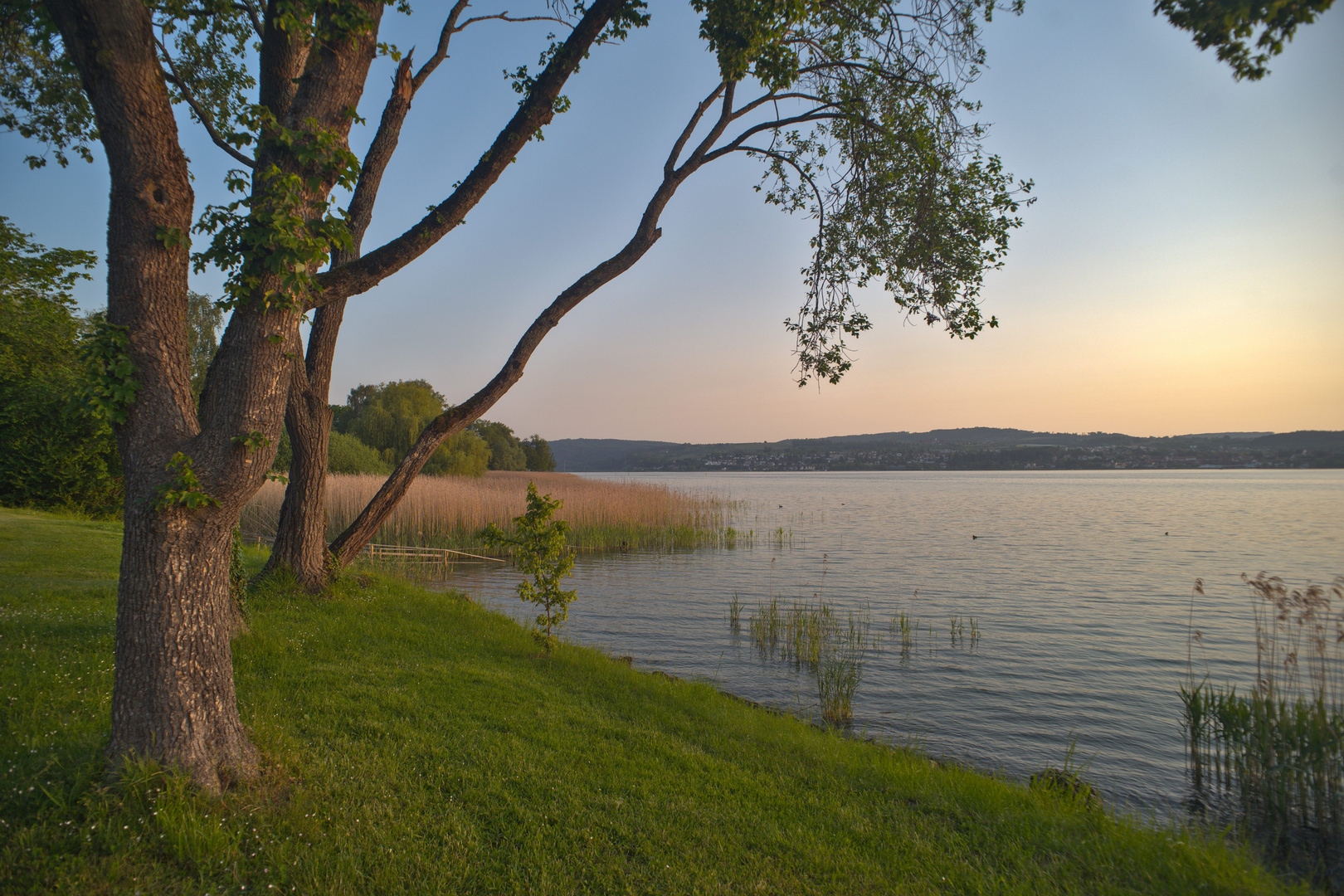 Sunrise in Dingelsdorf