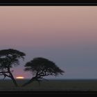 Sunrise in Etosha