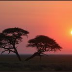 Sunrise in Etosha