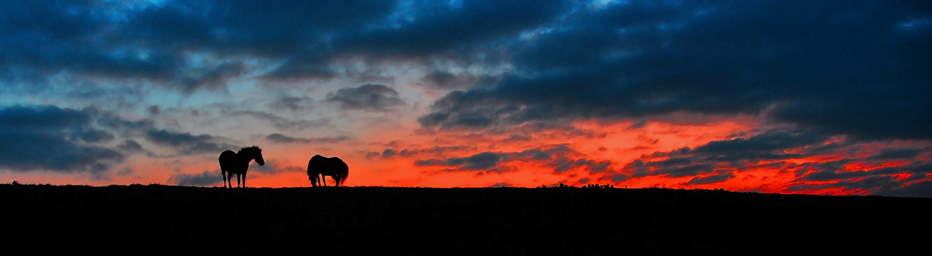 sunrise in frijsland