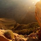 Sunrise in Grand Canyon
