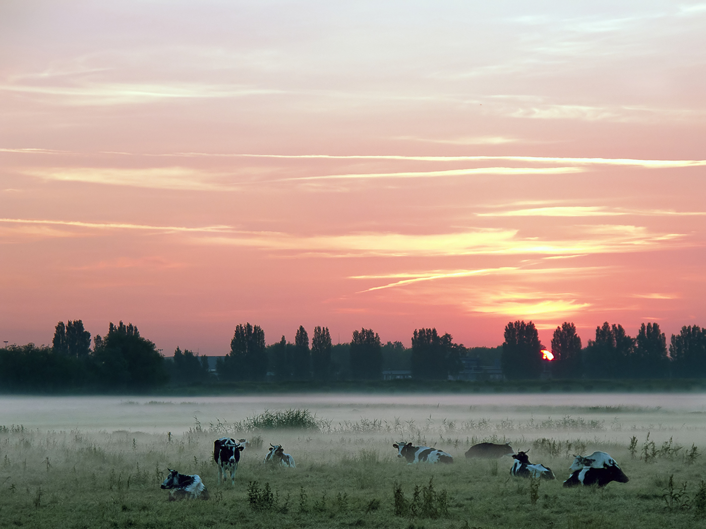 Sunrise in Holland