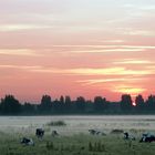 Sunrise in Holland