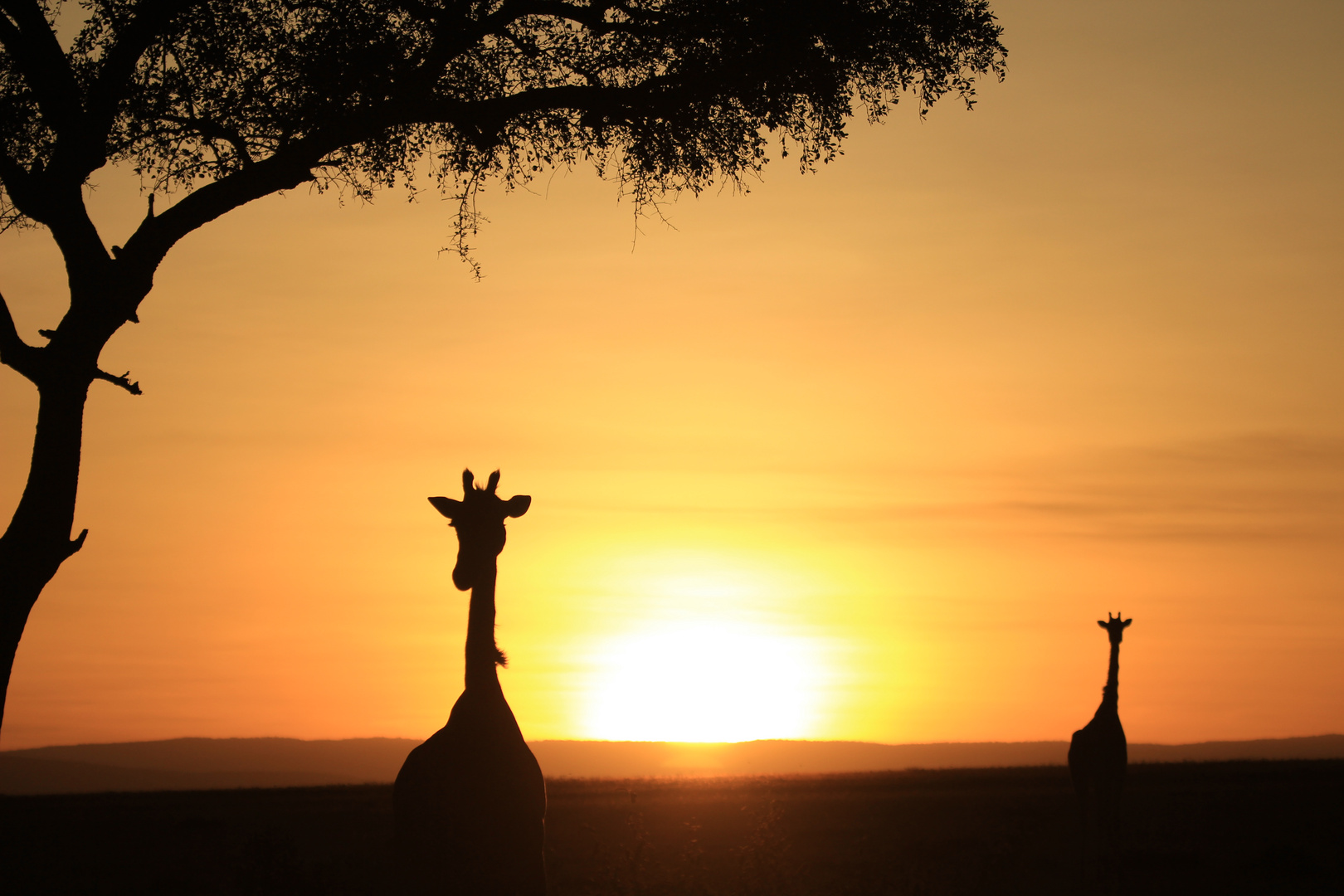 Sunrise in Kenya