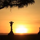 Sunrise in Kenya