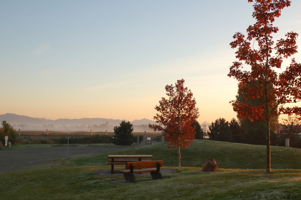 Sunrise in Ladner II