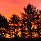 Sunrise in Limerick, Irland