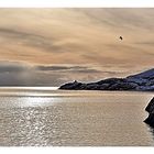 Sunrise in Nusfjord