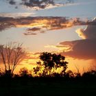 sunrise in outback