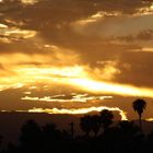 sunrise in Palm Springs