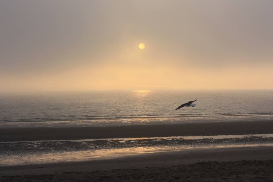 Sunrise in Portobello II