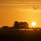 Sunrise in Radevormwald