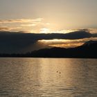 Sunrise in Richterswil 2008