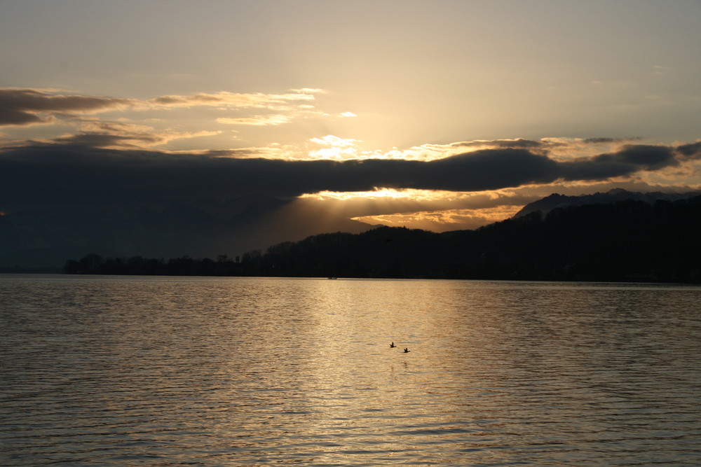 Sunrise in Richterswil 2008