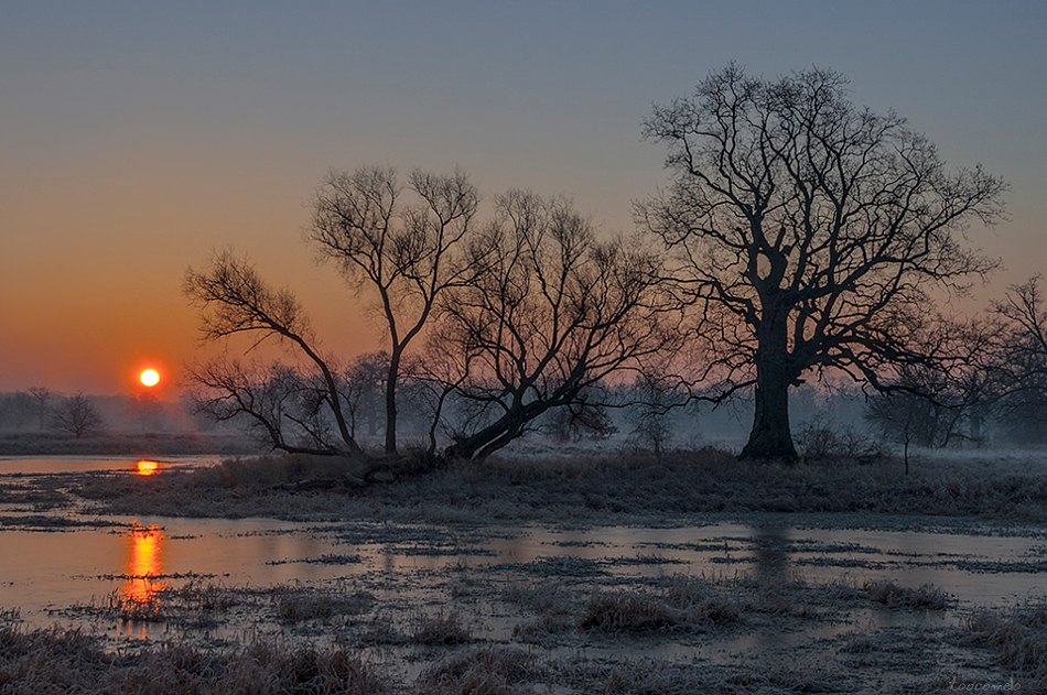 Sunrise in Rogalin.