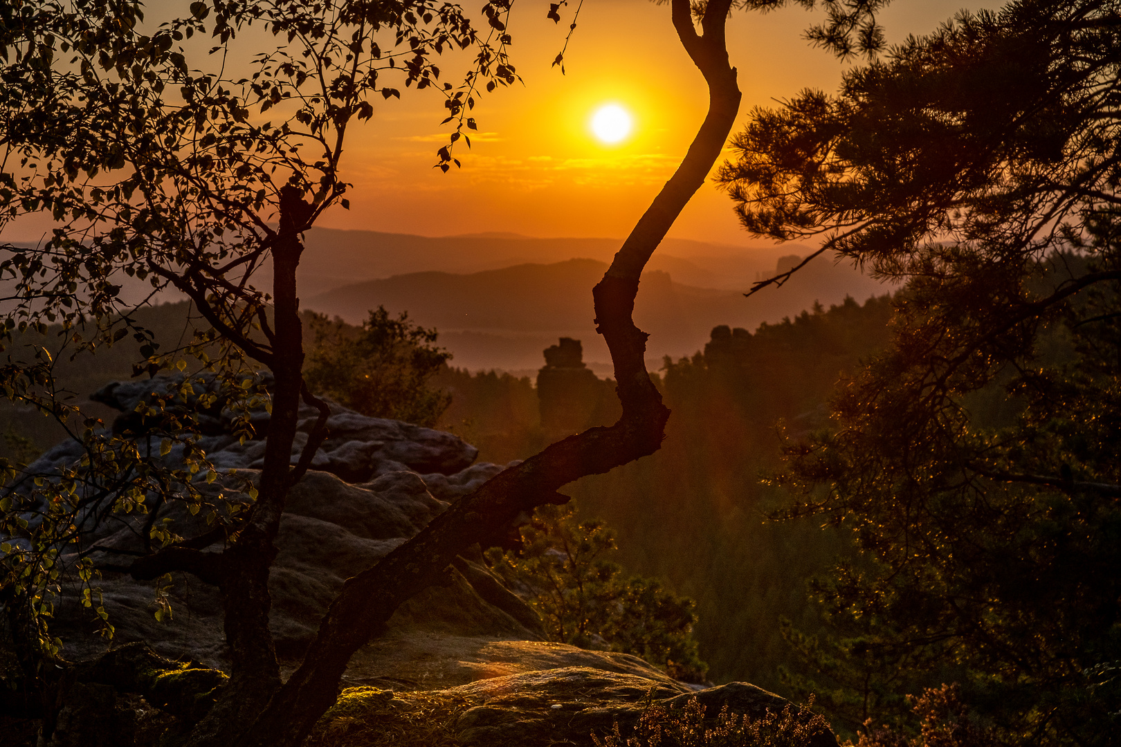 Sunrise in saxonia Switzerland