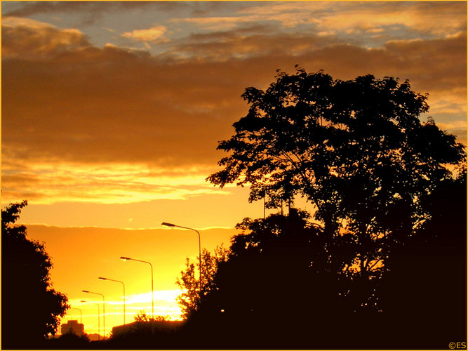 Sunrise in Schaffhausen