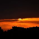 Sunrise In Shiraz