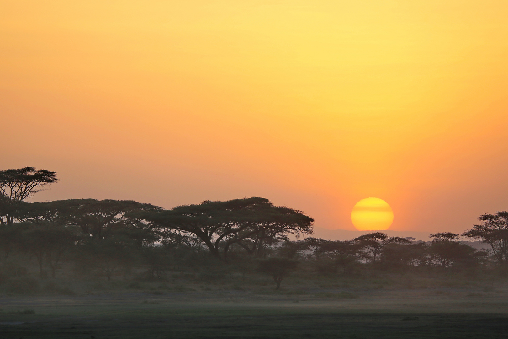 Sunrise in Tansania by seniortraveller