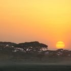 Sunrise in Tansania by seniortraveller