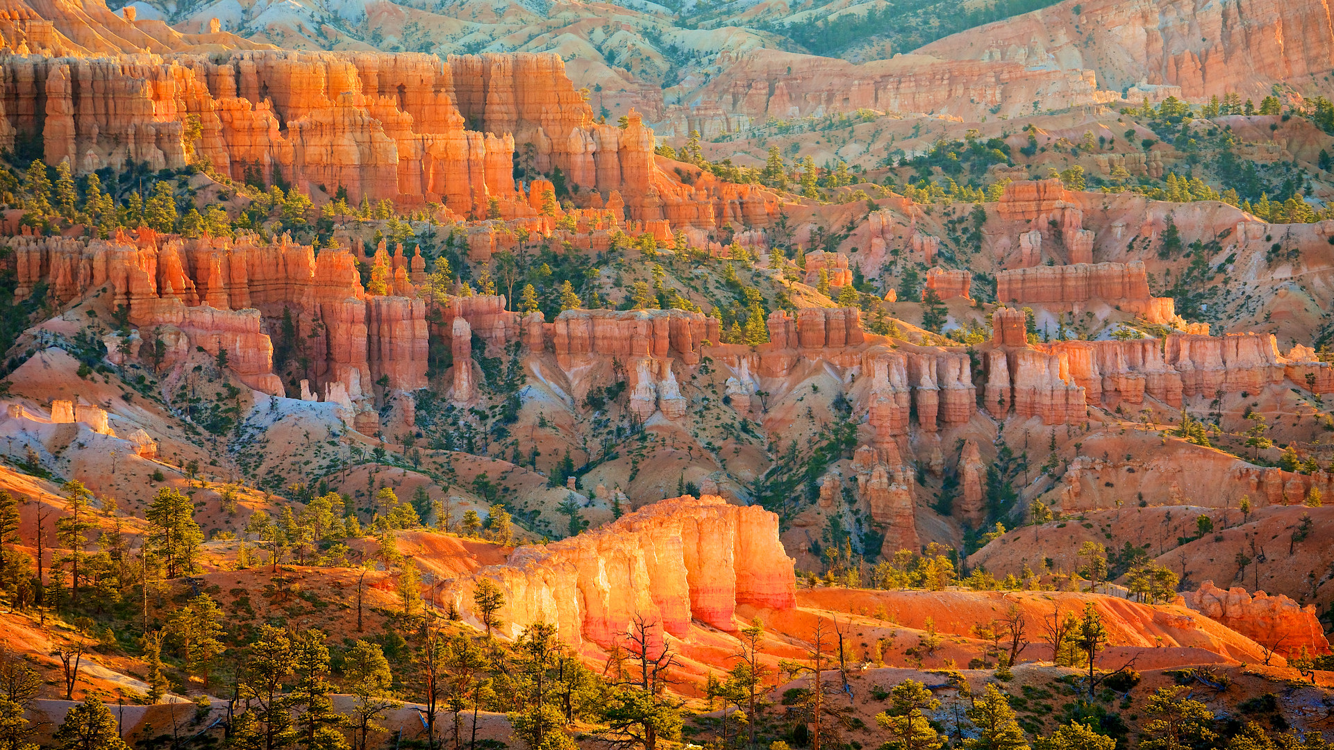 Sunrise in the canyon