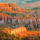 Sunrise in the canyon