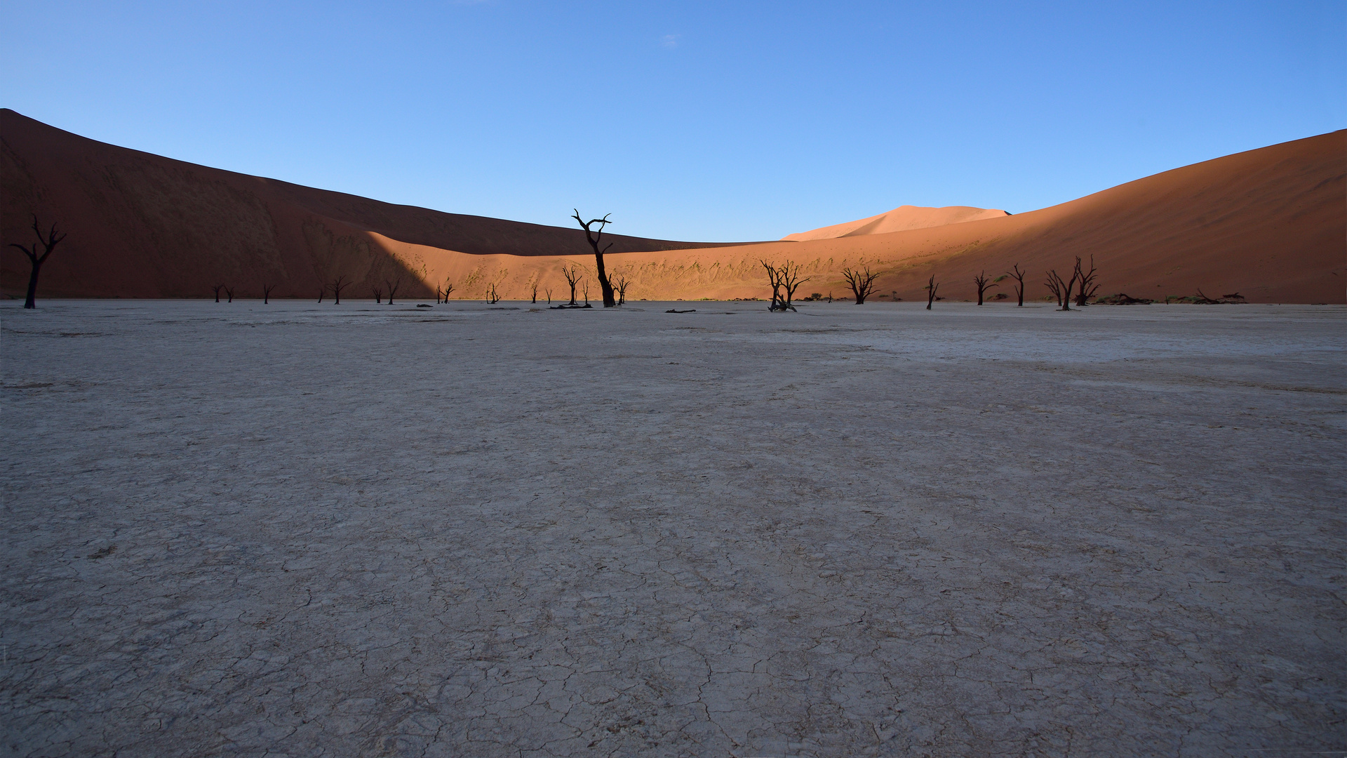 Sunrise in the desert II