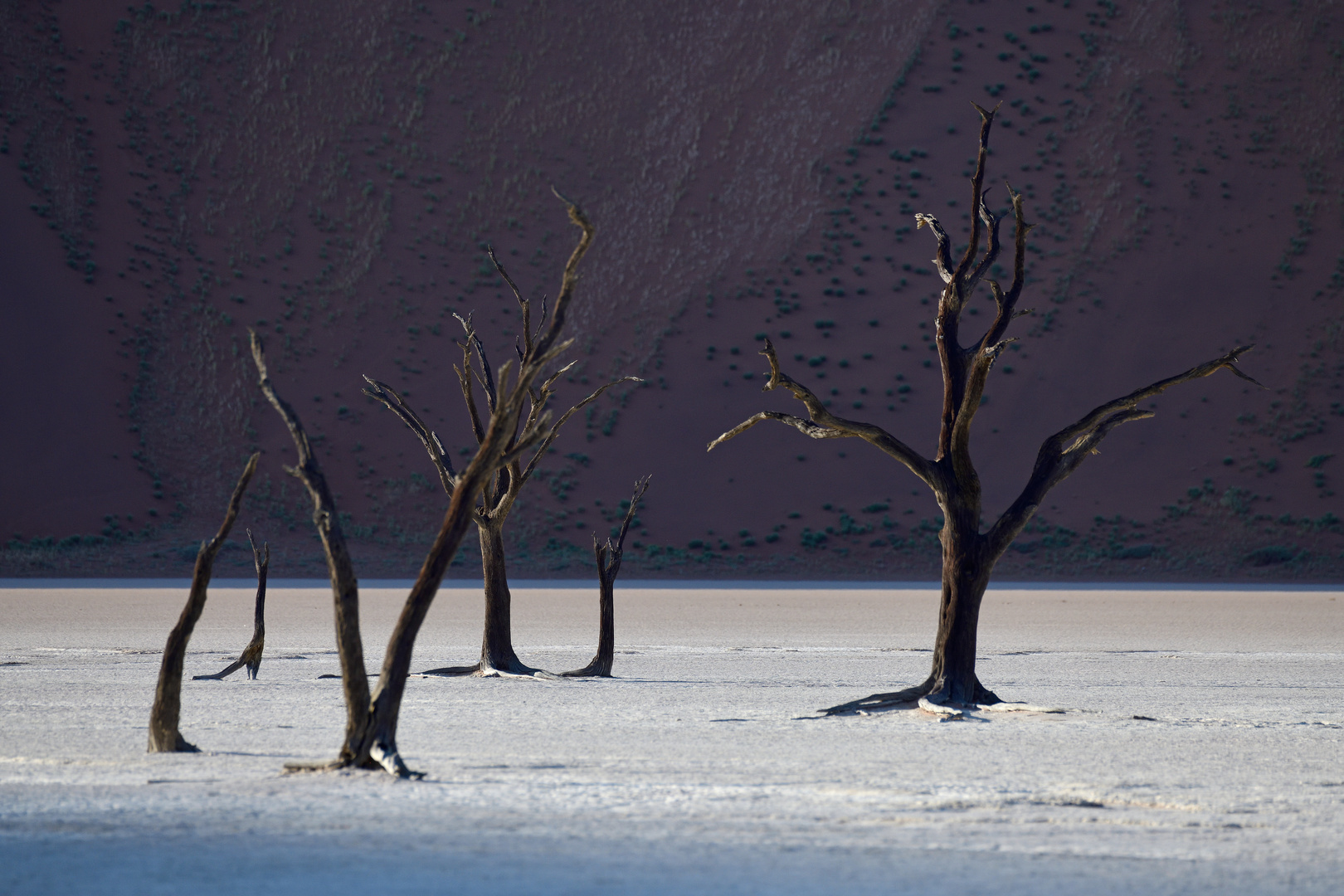 Sunrise in the desert III