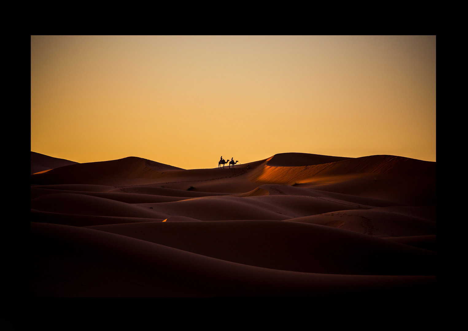 Sunrise in the dunes